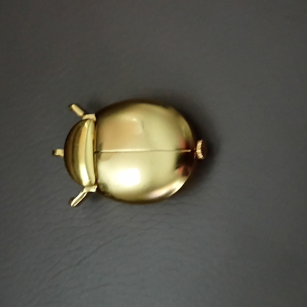 Lady Bug Watch Charm